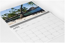 wiro montly calendar